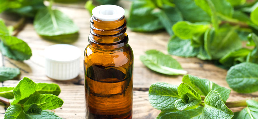 Aceite de menta  Usos y beneficios en aromaterapia